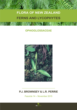 Flora of New Zealand Ferns and Lycophytes