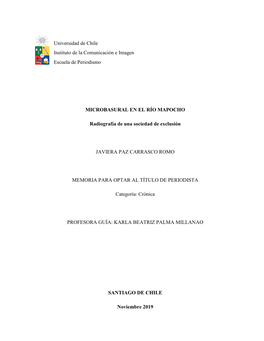 MICROBASURAL EN EL RÍO MAPOCHO Radiografía De Una Sociedad De Exclusión JAVIERA PAZ CARRASCO ROMO MEMORIA PARA OPTAR AL TÍTU