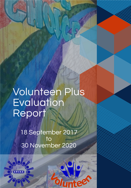 Volunteen Plus Evaluation Report