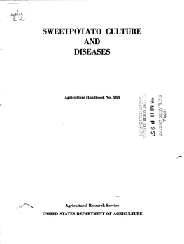 Sweetpotato Culture and Diseases