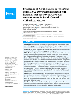 Prevalence of Xanthomonas Euvesicatoria (Formally X. Perforans) Associated with Bacterial Spot Severity in Capsicum Annuum Crops in South Central Chihuahua, Mexico