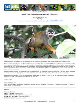 Iquitos, Peru: Canopy Walkways & Ancient Forests 2015 BIRDS