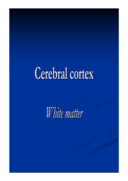 Cerebral Cortexcortex