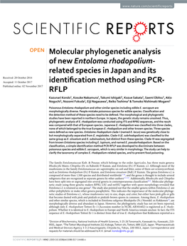 Molecular Phylogenetic Analysis of New Entoloma Rhodopolium-Related