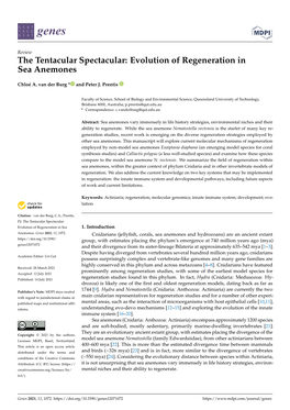 Evolution of Regeneration Insea Anemones