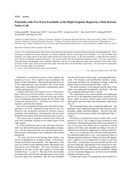 Polymelia with Two Extra Forelimbs at the Right Scapular Region in a Male Korean Native Calf