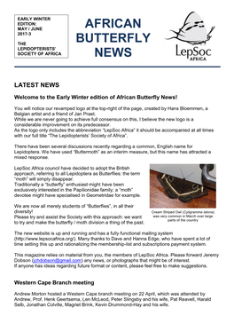 African Butterfly News!