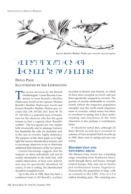 Identification of Bonelli's Warblers