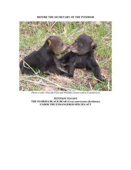 Florida Black Bear Petition Finding (Jan