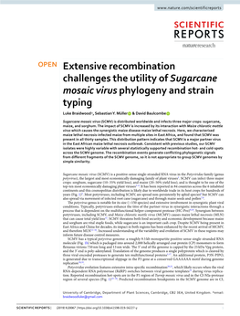 Extensive Recombination Challenges the Utility of Sugarcane Mosaic Virus Phylogeny and Strain Typing