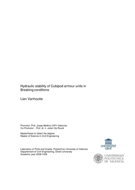 Hydraulic Stability of Cubipod Armour Units in Breakingconditions Lien