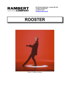 Dance Rooster Rambert Resource Pack