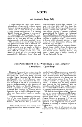 An Unusually Large Salp First Pacific Record of the Whale-Louse Genus Syncyamus (Amphipoda: Cyamidae) 1