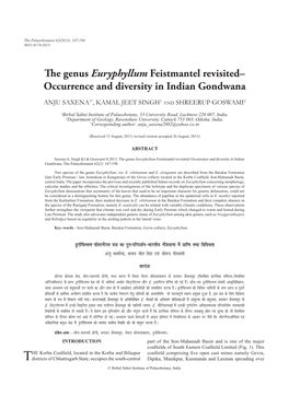 The Genus Euryphyllum Feistmantel Revisited– Occurrence and Diversity