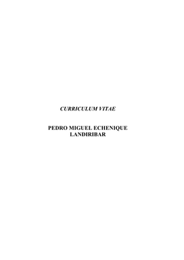 Curriculum Vitae Pedro Miguel Echenique Landiribar
