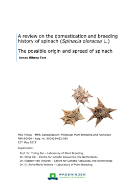 (Spinacia Oleracea L.) the Possible Origin and Spread of Spinach