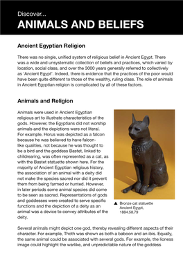 Animals and Beliefs Ancient Egyptian Religion