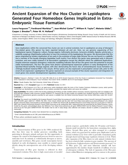 Ancient Expansion of the Hox Cluster in Lepidoptera Generated Four Homeobox Genes Implicated in Extra- Embryonic Tissue Formation