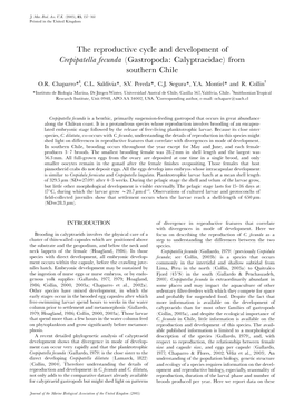 The Reproductive Cycle and Development of Crepipatella Fecunda (Gastropoda: Calyptraeidae) from Southern Chile