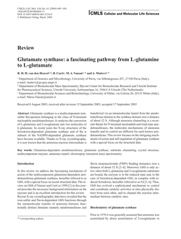 Review Glutamate Synthase: a Fascinating Pathway from L