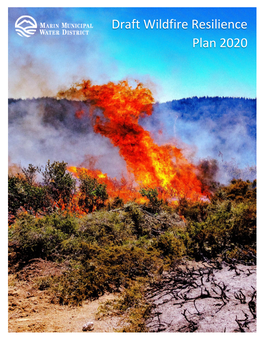 Draft Wildfire Resilience Plan 2020