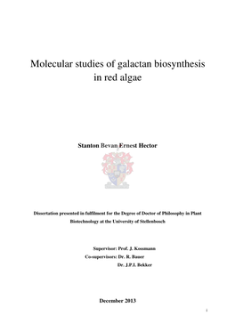 Molecular Studies of Galactan Biosynthesis in Red Algae