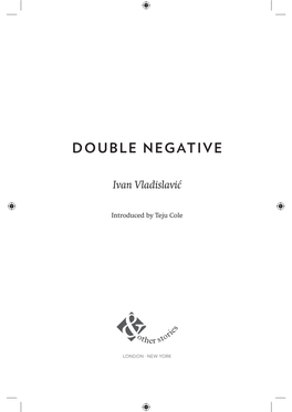 Double Negative Excerpt