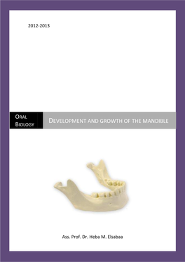 Development and Growth of the Mandible Biology