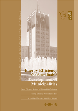 Energy Efficiency for Sustainable Development of Municipalities