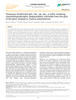 Thiosocius Teredinicola Gen. Nov., Sp. Nov., a Sulfur-Oxidizing Chemolithoautotrophic Endosymbiont Cultivated from the Gills Of