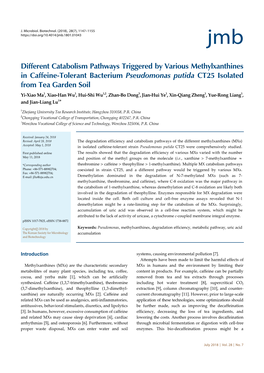 Different Catabolism Pathways Triggered by Various