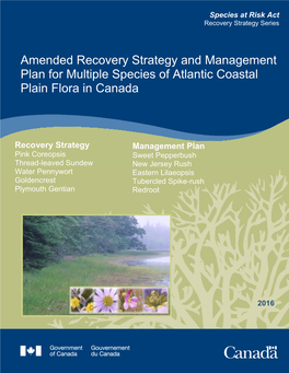 Amended Recovery Strategy and Management Plan for Multiple Species of Atlantic Coastal Plain Flora in Canada