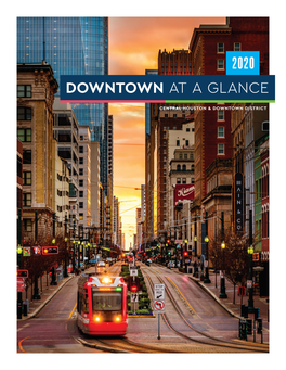Downtown at a Glance 2020