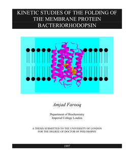 Kinetic Studies of the Folding of the Membrane Protein Bacteriorhodopsin