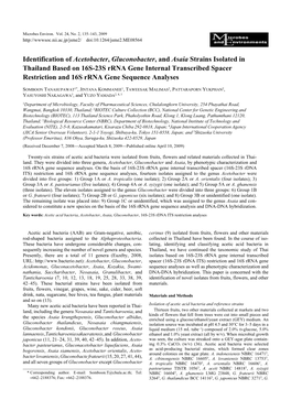 Identification of Acetobacter, Gluconobacter, and Asaia Strains Isolated in Thailand Based on 16S-23S Rrna Gene Internal Transcr