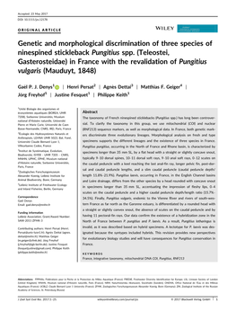 Genetic and Morphological Discrimination of Three Species of Ninespined Stickleback Pungitius Spp