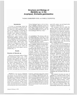 Structure and Biology of Marteilia Sp. in the Amphipod, Orchestia Gammarellus