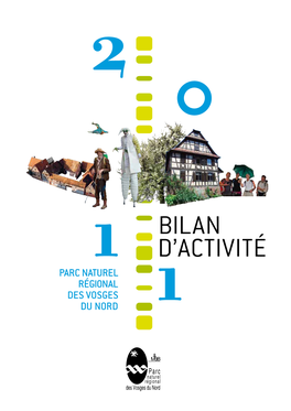 Bilan D'activité