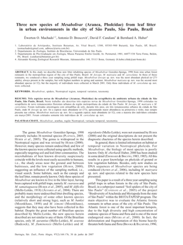 Three New Species of Mesabolivar (Aranea, Pholcidae) from Leaf Litter in Urban Environments in the City of São Paulo, São Paulo, Brazil