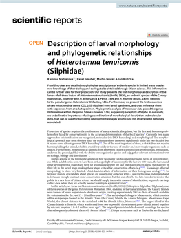Description of Larval Morphology and Phylogenetic Relationships of Heterotemna Tenuicornis (Silphidae) Karolina Mahlerová*, Pavel Jakubec, Martin Novák & Jan Růžička
