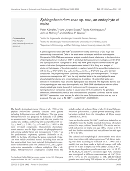 Sphingobacterium Zeae Sp. Nov., an Endophyte of Maize Peter Kampfer,€ 1 Hans-Jürgen Busse,2 Tanita Kleinhagauer,2 John A