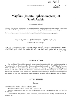 Mayflies (Insecta, Ephemeroptera) of Saudi Arabia