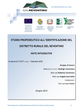 Relazione GAL.Pdf