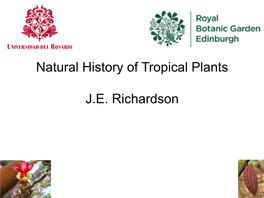 Natural History of Tropical Plants J.E. Richardson