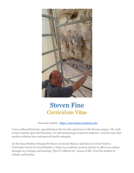 Steven Fine CV