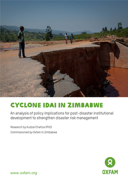 Cyclone Idai in Zimbabwe: an Analysis of Policy Implications