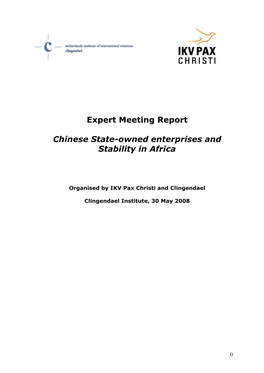 Expert Meeting Report Chinese State-Owned Enterprises And