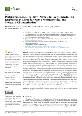 Pratylenchus Vovlasi Sp. Nov. (Nematoda: Pratylenchidae) on Raspberries in North Italy with a Morphometrical and Molecular Characterization †