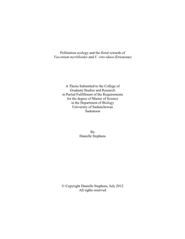 STEPHENS-THESIS.Pdf (3.765Mb)