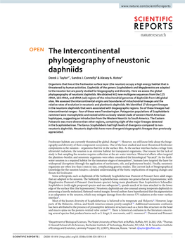The Intercontinental Phylogeography of Neustonic Daphniids Derek J